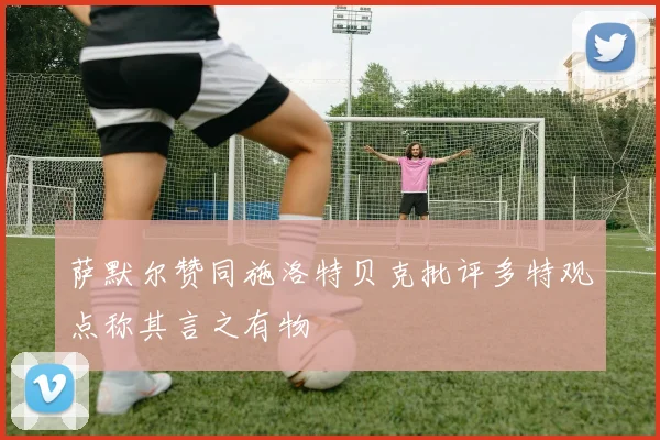 萨默尔赞同施洛特贝克批评多特观点称其言之有物